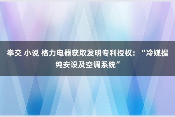拳交 小说 格力电器获取发明专利授权：“冷媒提纯安设及空调系统”