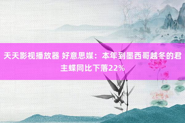 天天影视播放器 好意思媒：本年到墨西哥越冬的君主蝶同比下落22%
