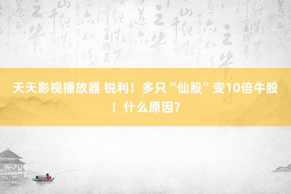 天天影视播放器 锐利！多只“仙股”变10倍牛股！什么原因？