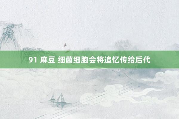 91 麻豆 细菌细胞会将追忆传给后代
