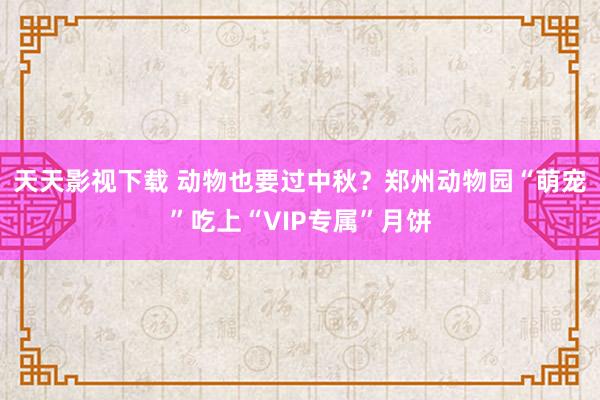 天天影视下载 动物也要过中秋？郑州动物园“萌宠”吃上“VIP专属”月饼
