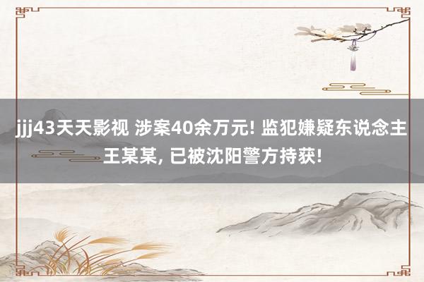 jjj43天天影视 涉案40余万元! 监犯嫌疑东说念主王某某， 已被沈阳警方持获!
