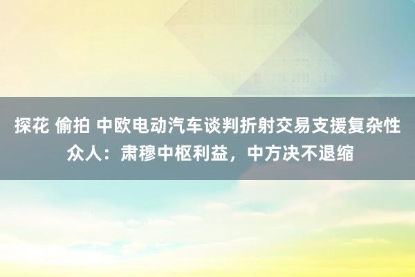探花 偷拍 中欧电动汽车谈判折射交易支援复杂性 众人：肃穆中枢利益，中方决不退缩