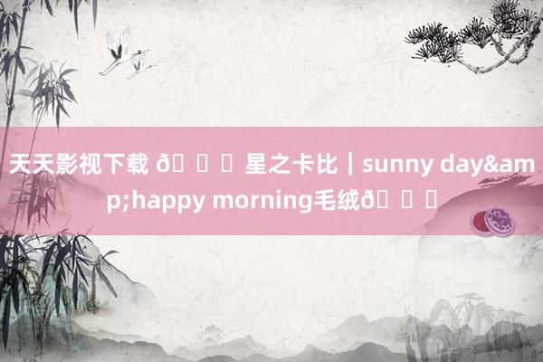 天天影视下载 🌟星之卡比｜sunny day&happy morning毛绒💗