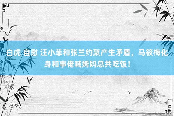 白虎 自慰 汪小菲和张兰约聚产生矛盾，马筱梅化身和事佬喊姆妈总共吃饭！