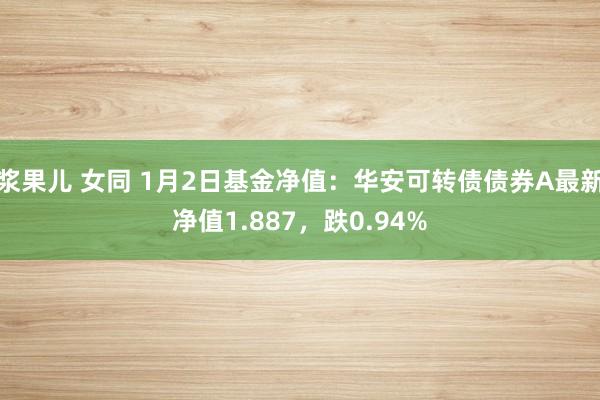 浆果儿 女同 1月2日基金净值：华安可转债债券A最新净值1.887，跌0.94%